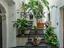 Immagine 6