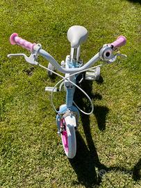 Bicicletta frozen