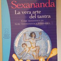Sexananda: la vera Arte del Tantra