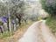 Immagine 14
