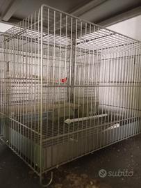 varie gabbie uccello