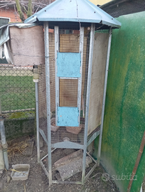 Voliera completa con femmina kakariko