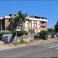 Cisterna di Latina - Rif. asta 6425