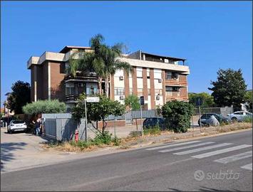 Cisterna di Latina - Rif. asta 6425