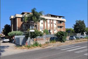 Cisterna di Latina - Rif. asta 6425