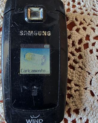 Samsung SGH-S401I Wind