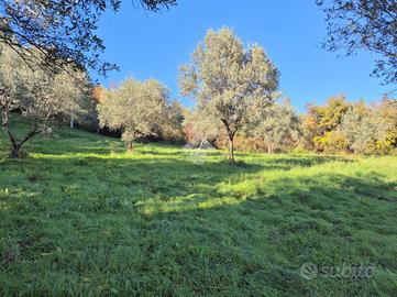 TER. AGRICOLO A MOMPEO