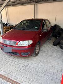 Fiat punto neopatentati