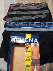 6 boxer athena xl