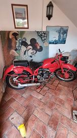 Moto  Guzzi  airone  250