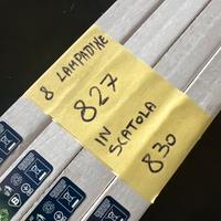 8 lampadine NEON 54w 827