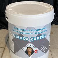 Vernice per interni bianca