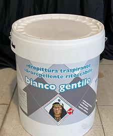 Vernice per interni bianca