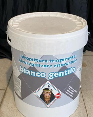 Vernice per interni bianca
