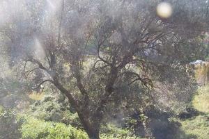 RGE 129/1998 Trib Patti - LOTTO 3