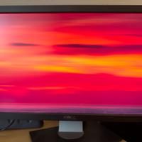 Coppia Monitor 27" Dell U2711 (Risoluzione 2K)