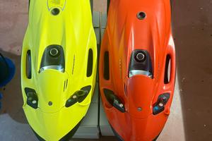 Seabob F5s anno 2019