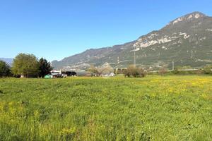 TERRENO A PIAN CAMUNO