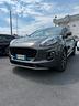 ford-puma-1-0-ecoboost-hybrid-125-cv-s-s-titanium
