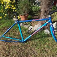 mountain bike 26 pollici