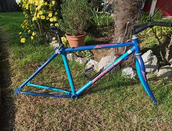 mountain bike 26 pollici