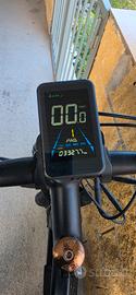 bici elettrica 