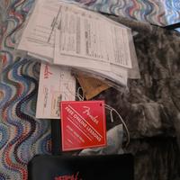 chitarra elettrica professionale