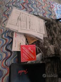 chitarra elettrica professionale