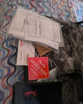 chitarra elettrica professionale