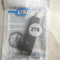 Chiavetta USB/type C