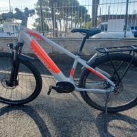 Wistle E-MTB