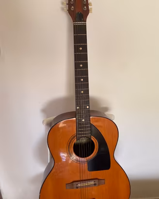 Chitarra Eko 12 corde mod Navajo