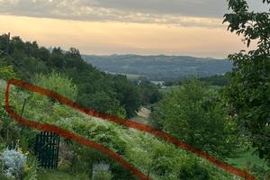 Terreno agricolo incolto