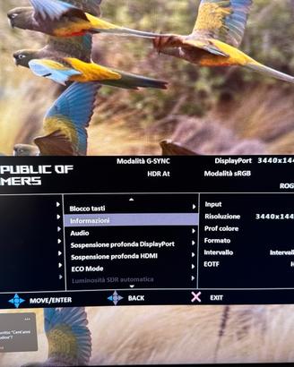 ASUS ROG SWIFT PG35VQ