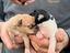 Immagine 3
