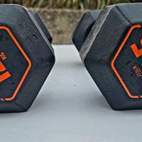 Manubri da 12.5 kg