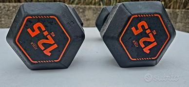 Manubri da 12.5 kg