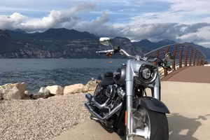 Harley Davidson Fat Boy 114