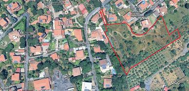 Terreno agricolo