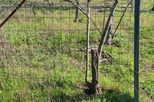 Terreno edificabile commerciale