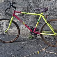 bicicletta mountain bike