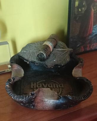 Havana club sigaro posacenere collezione insegna