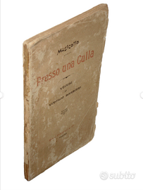libro antico ottocentina raccolta di poesie 1897