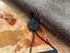Immagine 5