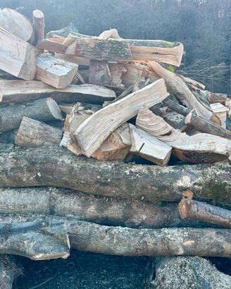 Legna da ardere fresca tagliata e spaccata