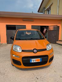 Panda 1.2 2019
