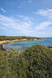 Accogliente appartamento a pochi passi dal mare