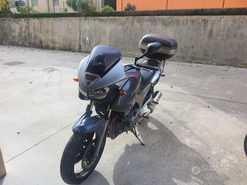 TDM900 del 2004