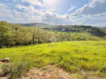 TER. AGRICOLO A BAGNO A RIPOLI