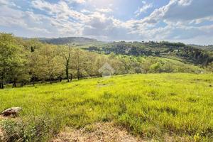 TER. AGRICOLO A BAGNO A RIPOLI